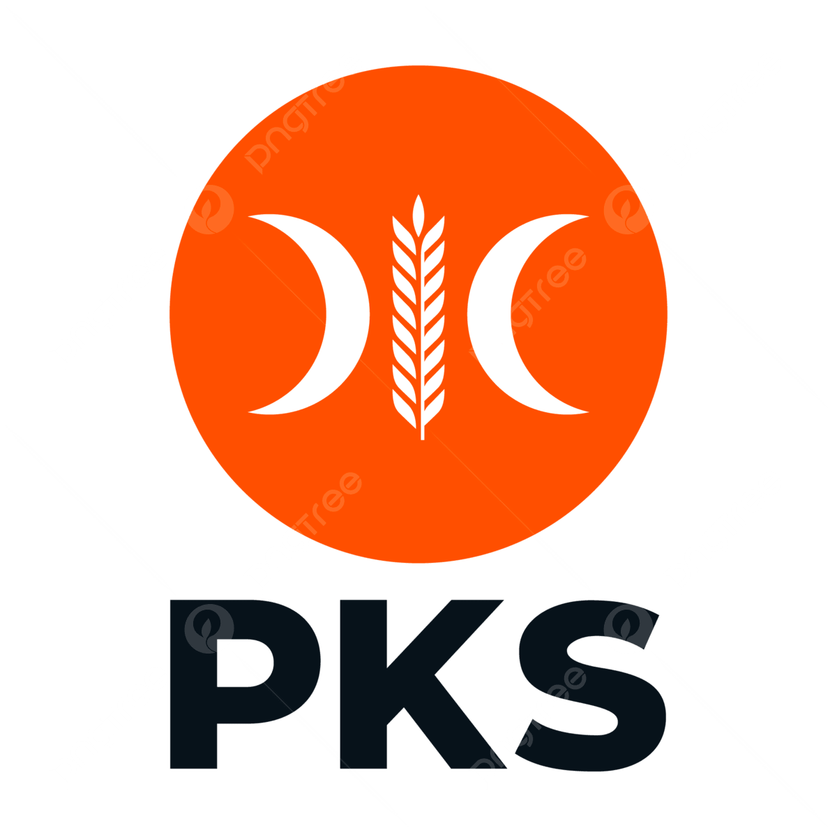 Logo PKS